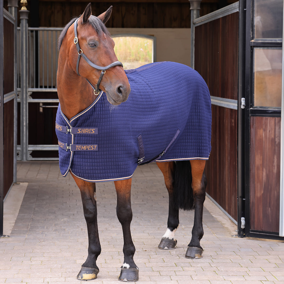 Shires Tempest Original Tech Cooler Rug