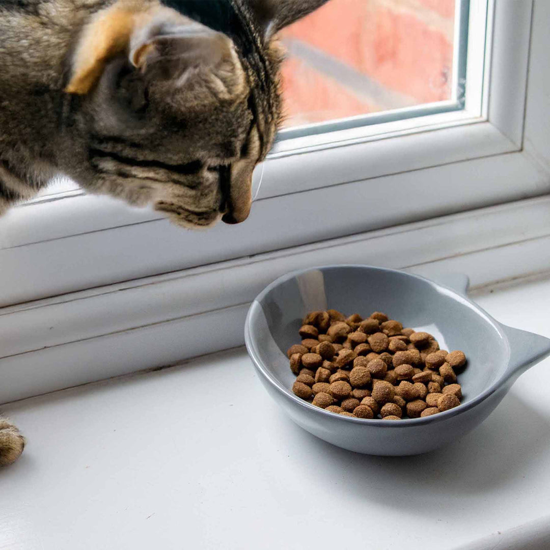 Ancol Oval Cat Ear Dish