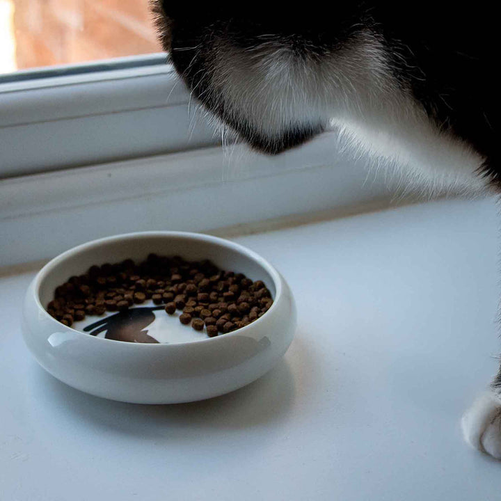 Ancol Curved Edge Cat Dish