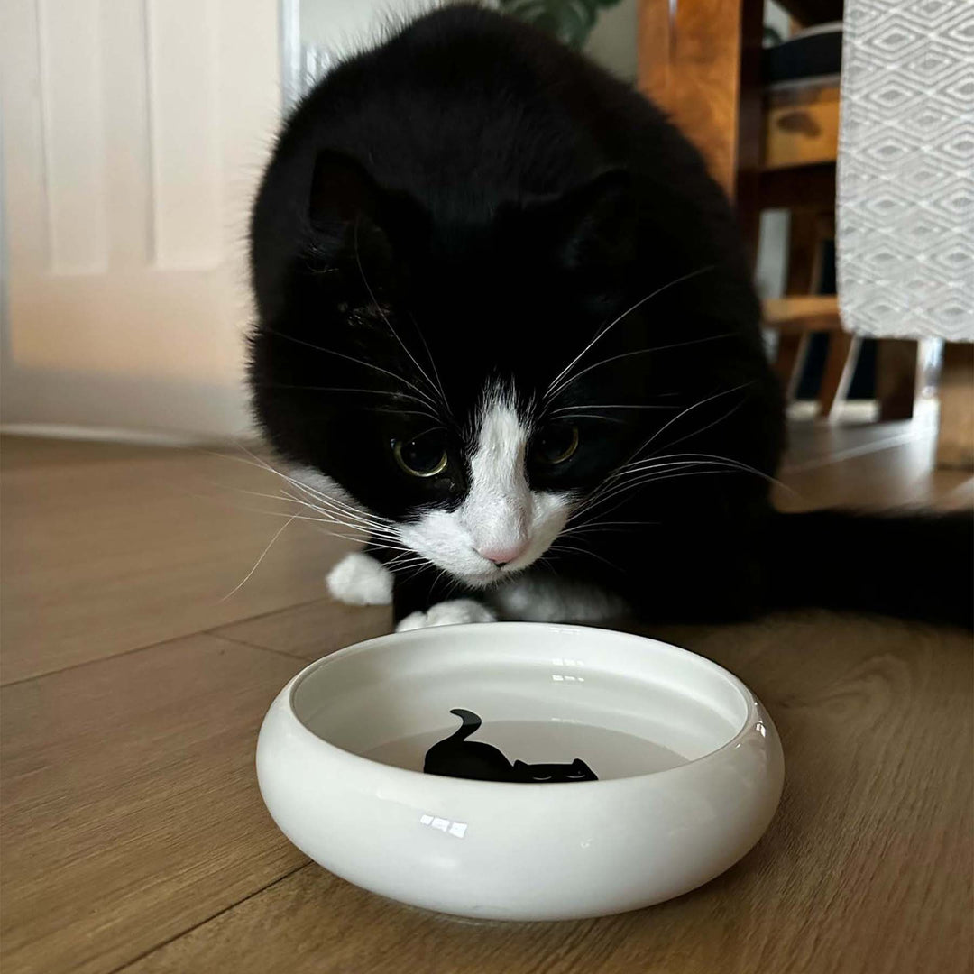 Ancol Curved Edge Cat Dish