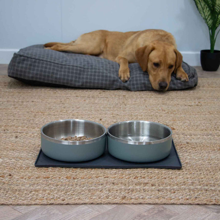 Ancol Grey Feeding Mat