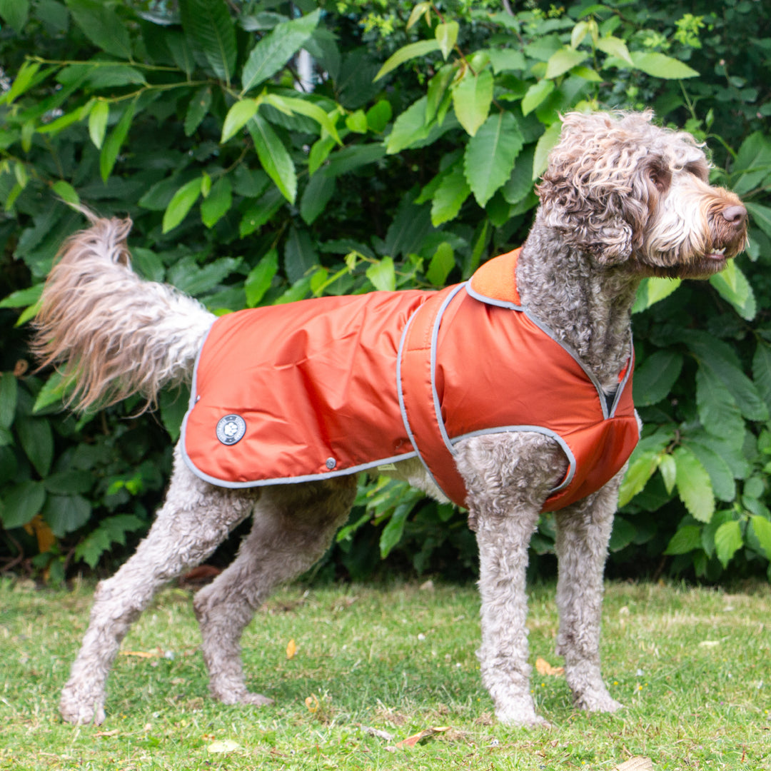 Ancol Stormguard Waterproof Dog Coat