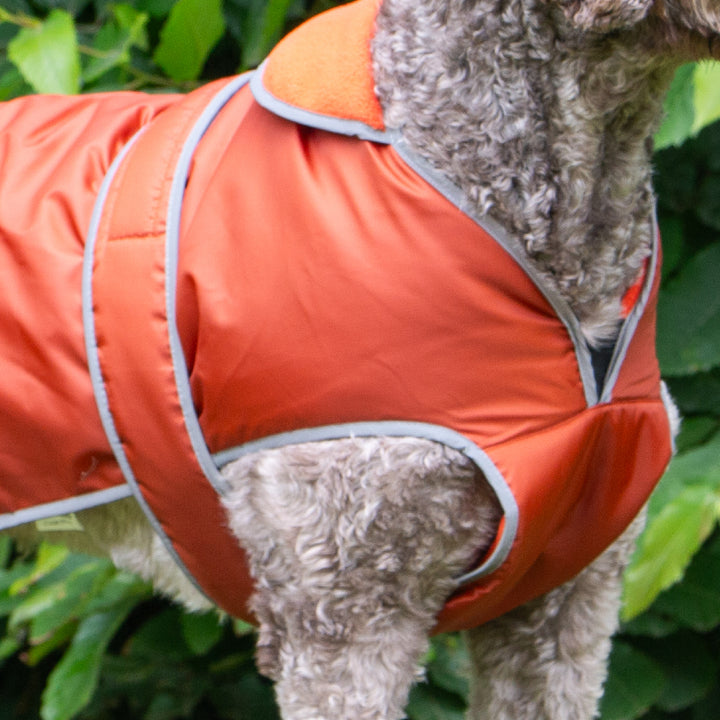 Ancol Stormguard Waterproof Dog Coat