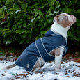 Ancol Stormguard Waterproof Dog Coat