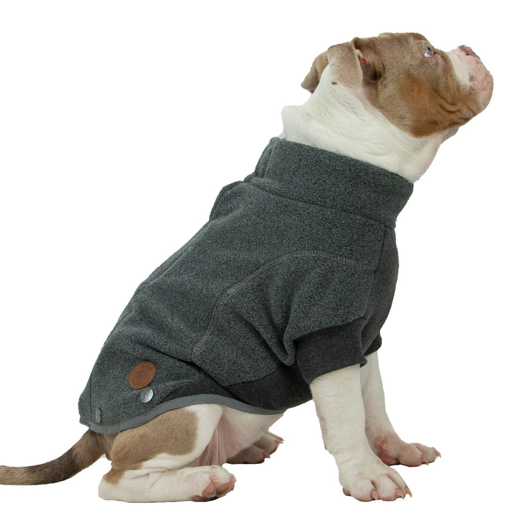 Dog wearing a gray coat with 'Snug Fit' logo on a white background