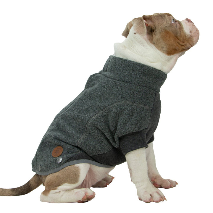Dog wearing a gray coat with 'Snug Fit' logo on a white background