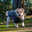 Dog wearing a gray coat with 'Snug Fit' logo on a white background