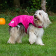 The Ancol Viva Reversible Dog Coat in Black#Black