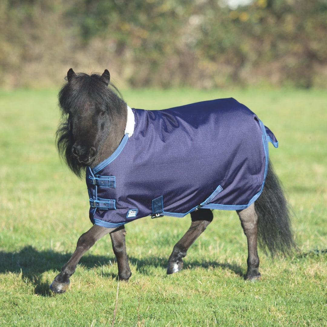 A pony wearing a blue rug standing on grass with a blurred background