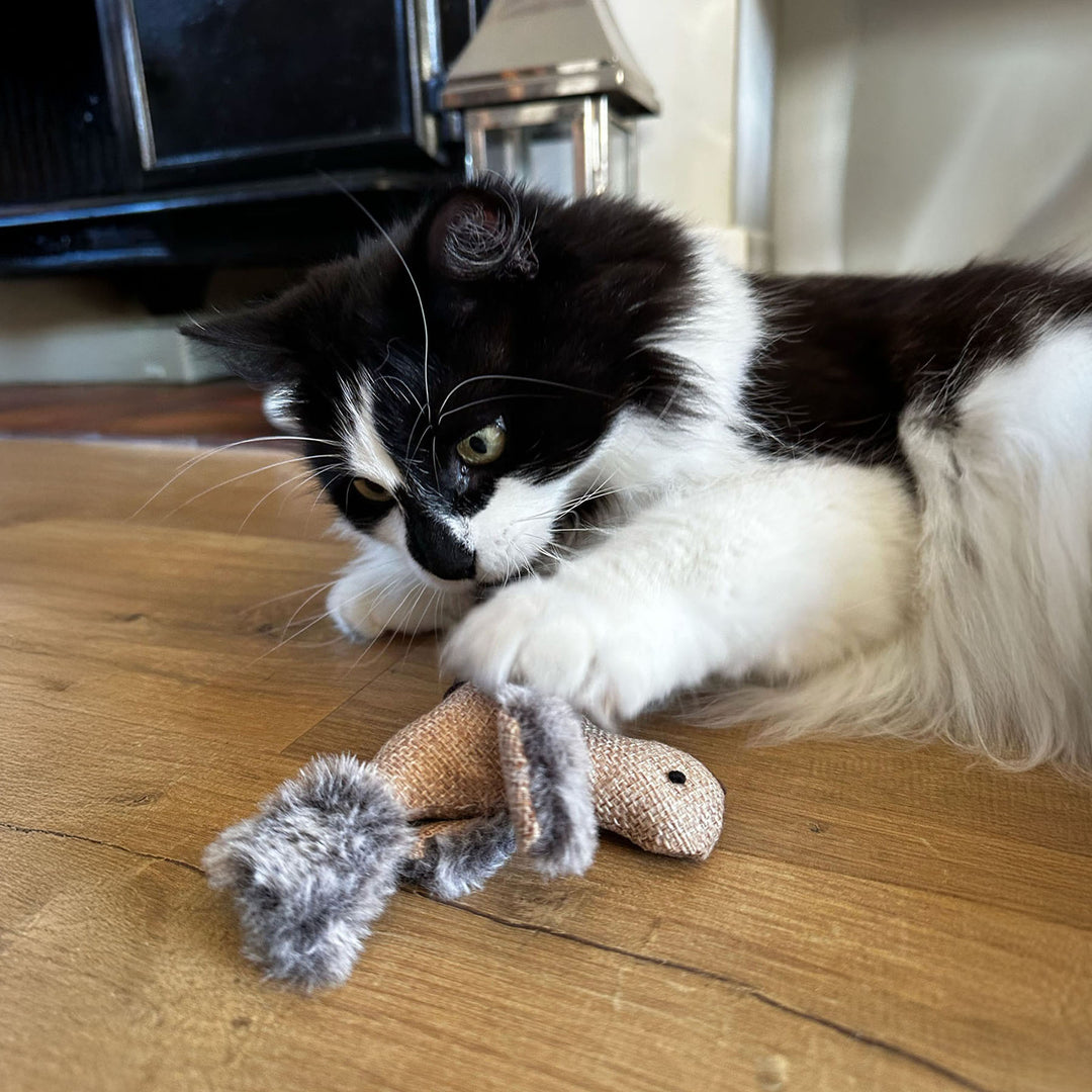 Ancol Cheeping Bird Cat Toy