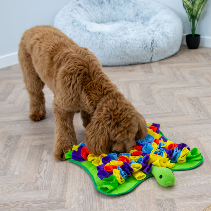 Ancol Orva Snuffle Turtle Dog Toy