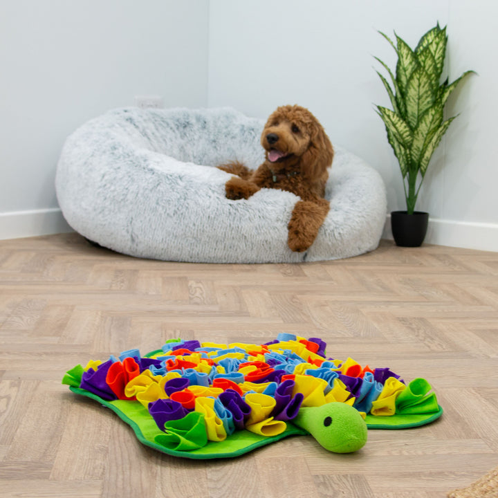 Ancol Orva Snuffle Turtle Dog Toy