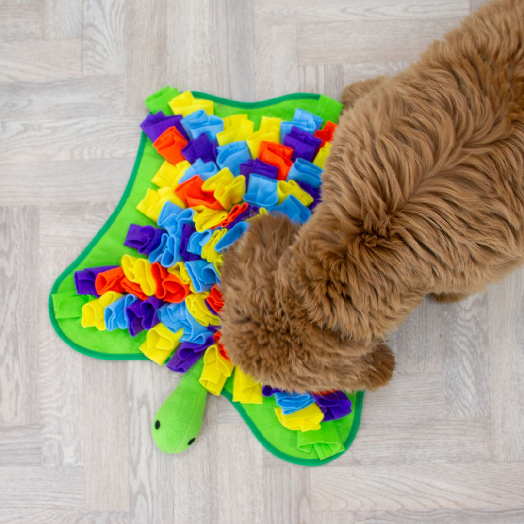 Ancol Orva Snuffle Turtle Dog Toy