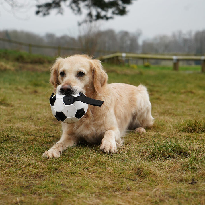 Ancol Chase Grab Tabs Football