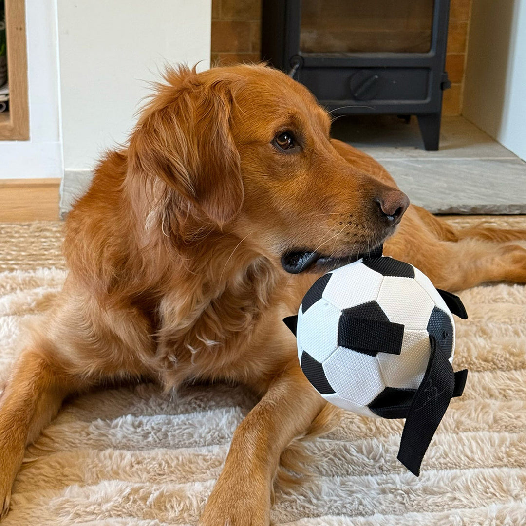 Ancol Chase Grab Tabs Football