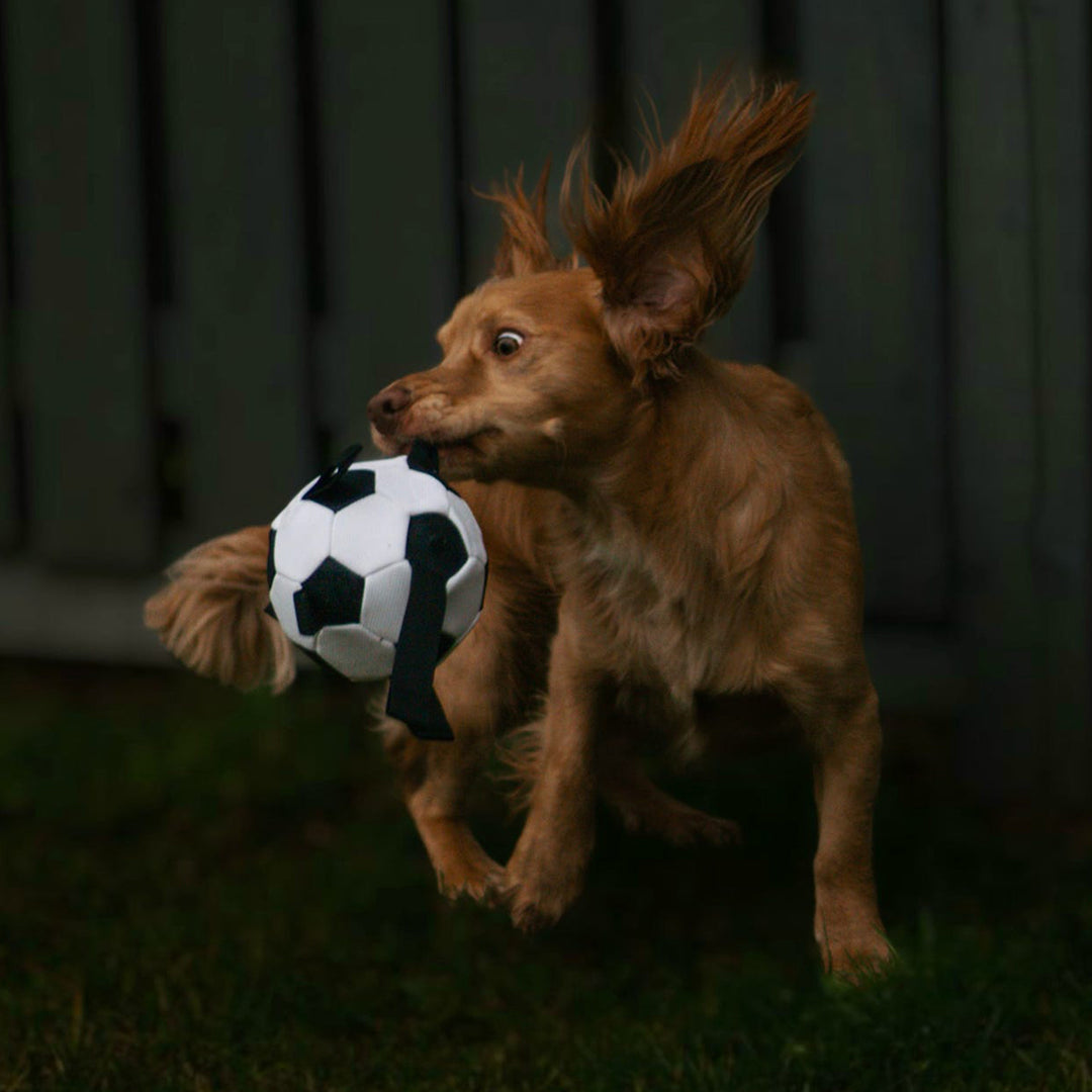 Ancol Chase Grab Tabs Football