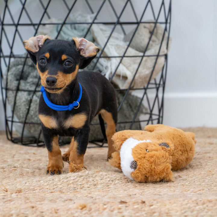 Ancol Heritage Walter Weasel Midi Dog Toy