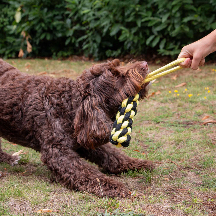 Ancol Playtime Bumble Bee Ropey Plait Dog Toy