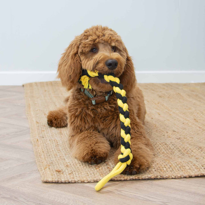 Ancol Playtime Bumble Bee Ropey Twist Dog Toy