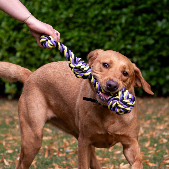 Ancol Playtime Tricoloured Jumbo Rope Ball Tug