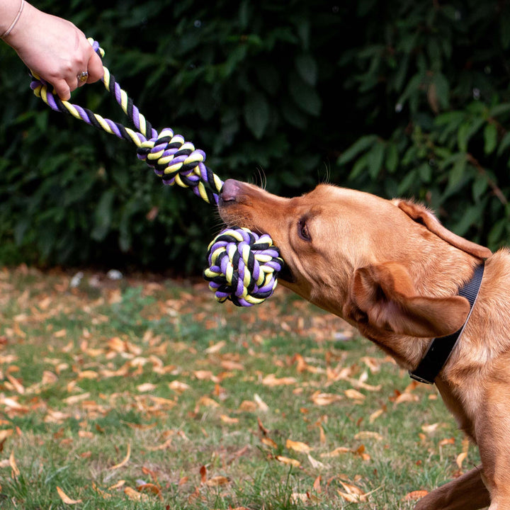 Ancol Playtime Tricoloured Jumbo Rope Ball Tug