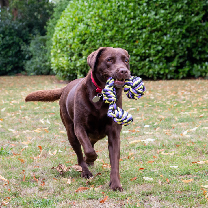 Ancol Playtime Tricoloured Jumbo Rope Ball Tug