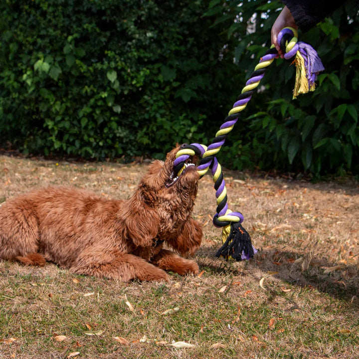 Ancol Playtime Tricoloured Jumbo Rope