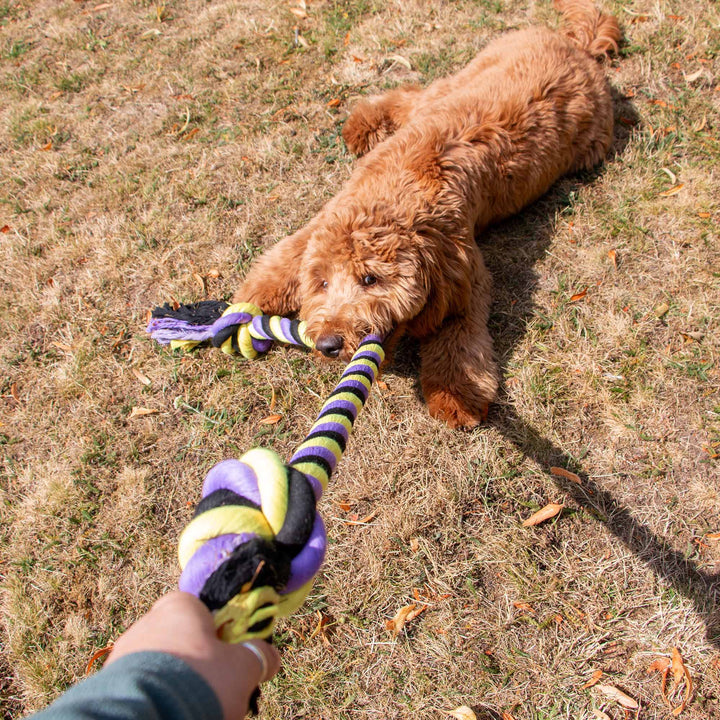 Ancol Playtime Tricoloured Jumbo Rope