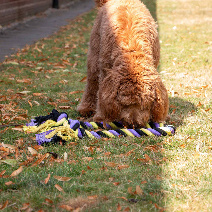 Ancol Playtime Tricoloured Jumbo Rope