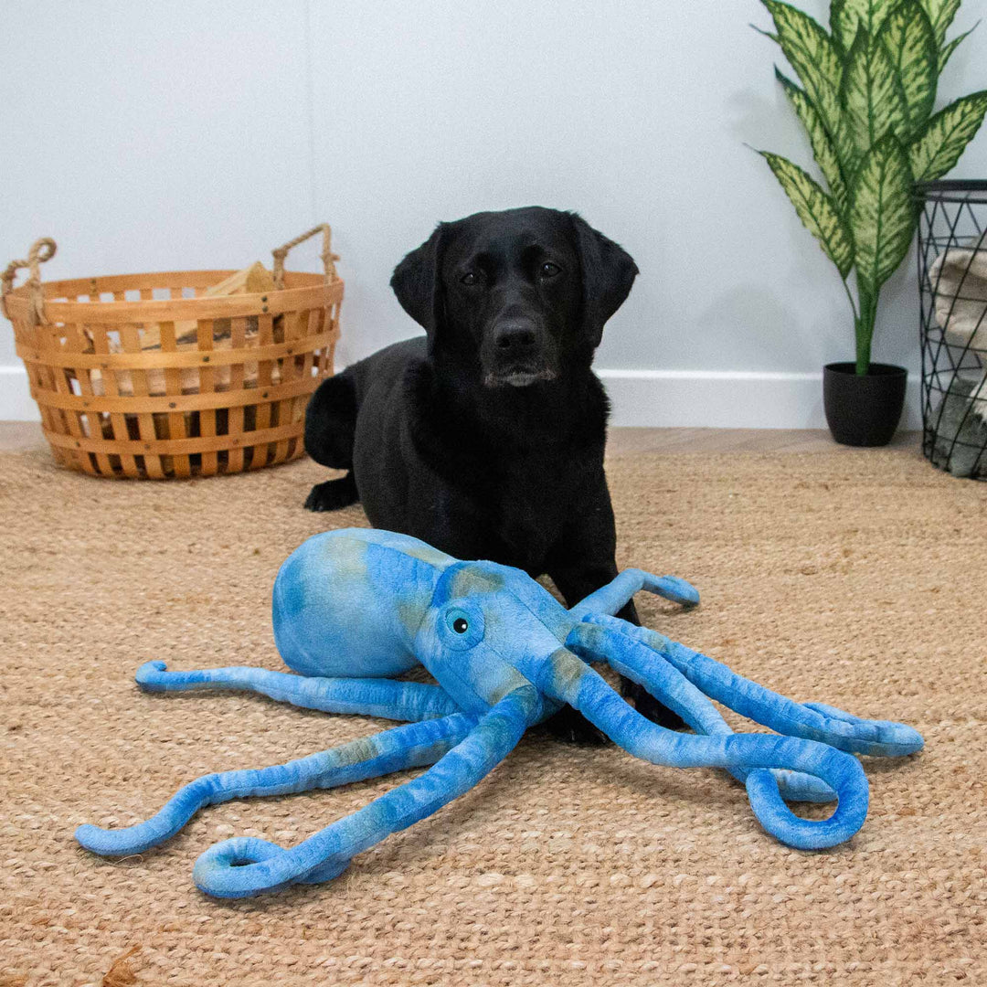 Ancol Cuddle Phil the Kraken Dog Toy