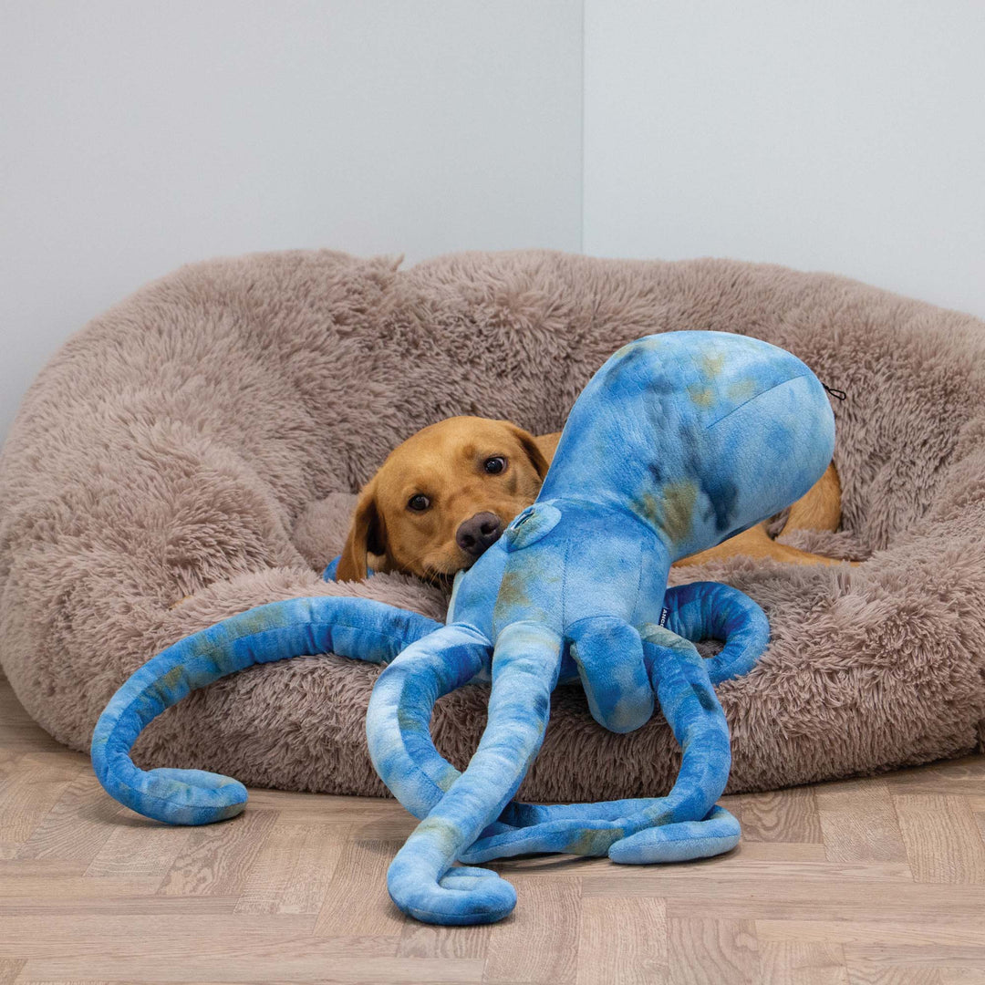 Ancol Cuddle Phil the Kraken Giant Dog Toy