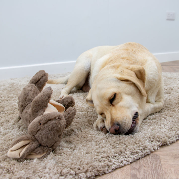 Ancol Cuddle Kangaroo & Joey Dog Toy