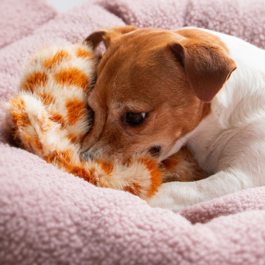 Ancol Cuddle Giraffe Floppet Silent Dog Toy