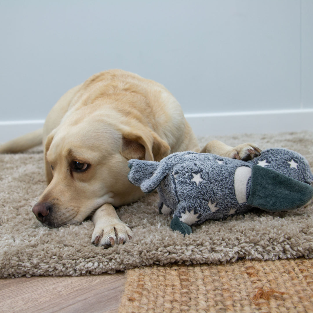 Ancol Cuddle Glow in the Dark Owl Dog Toy