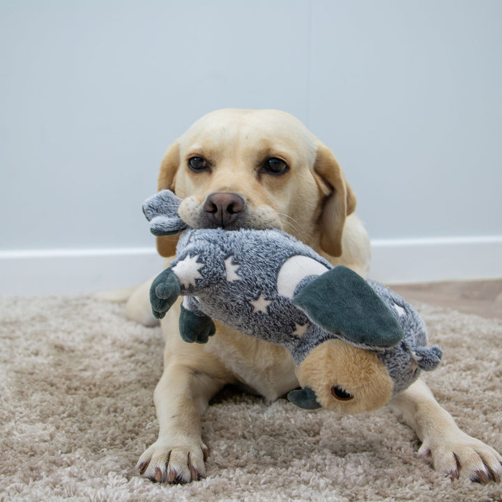 Ancol Cuddle Glow in the Dark Owl Dog Toy