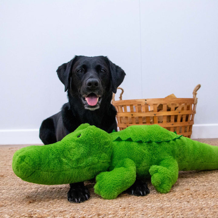 Ancol Cuddle Giant Croc Dog Toy