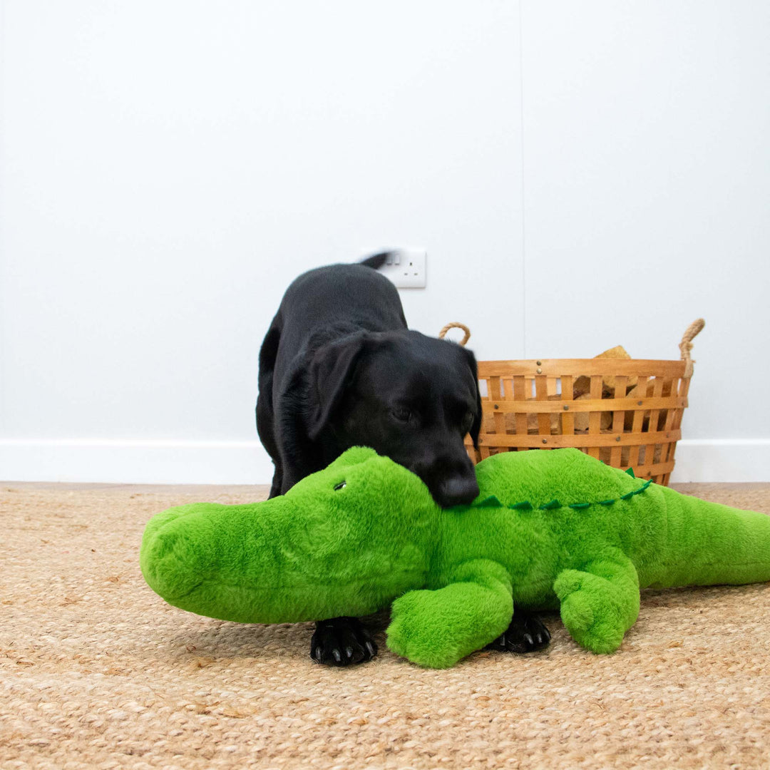 Ancol Cuddle Giant Croc Dog Toy