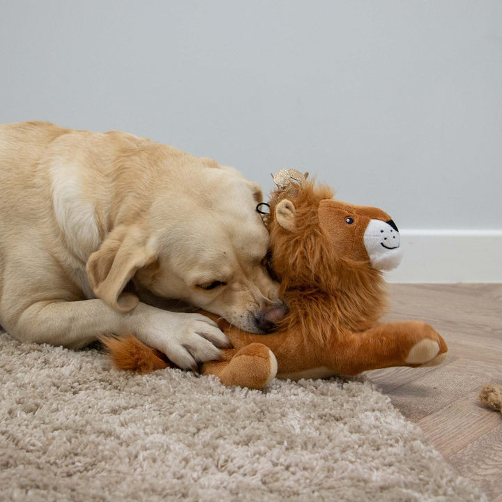 Ancol Cuddle King Leo the Lion Dog Toy