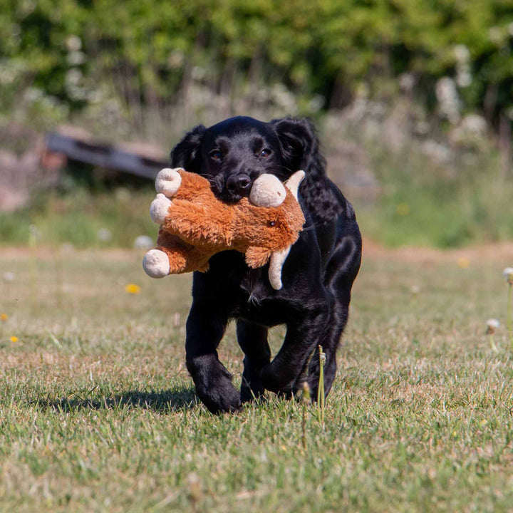 Ancol Small Bite Highland Cow Dog Toy