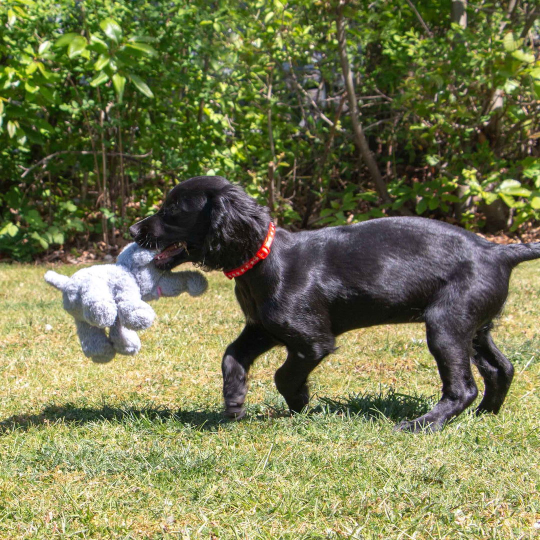 Ancol Small Bite Elephant Dog Toy