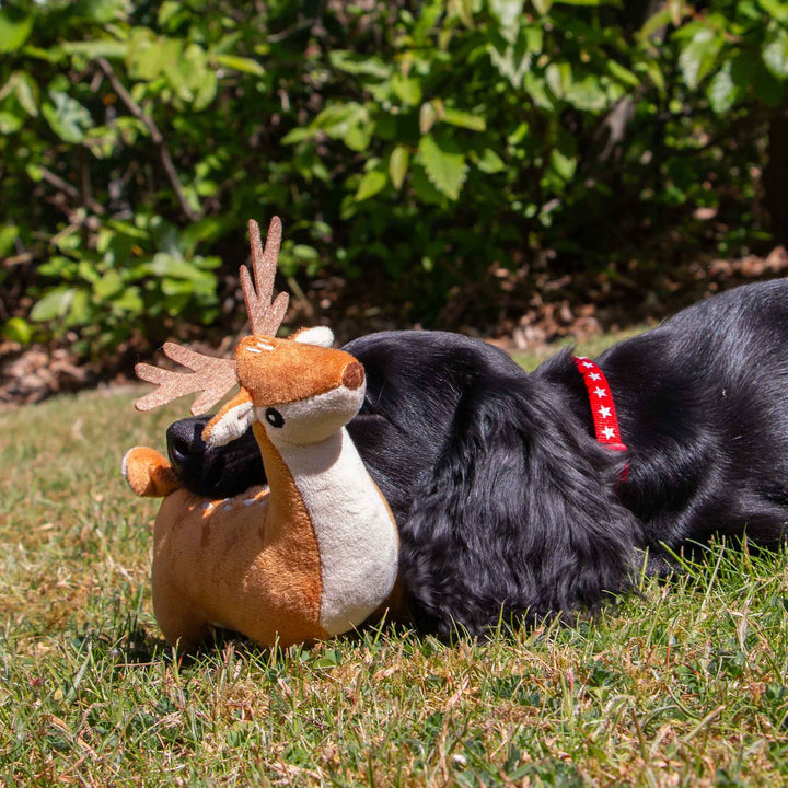 Ancol Small Bite Deer Dog Toy