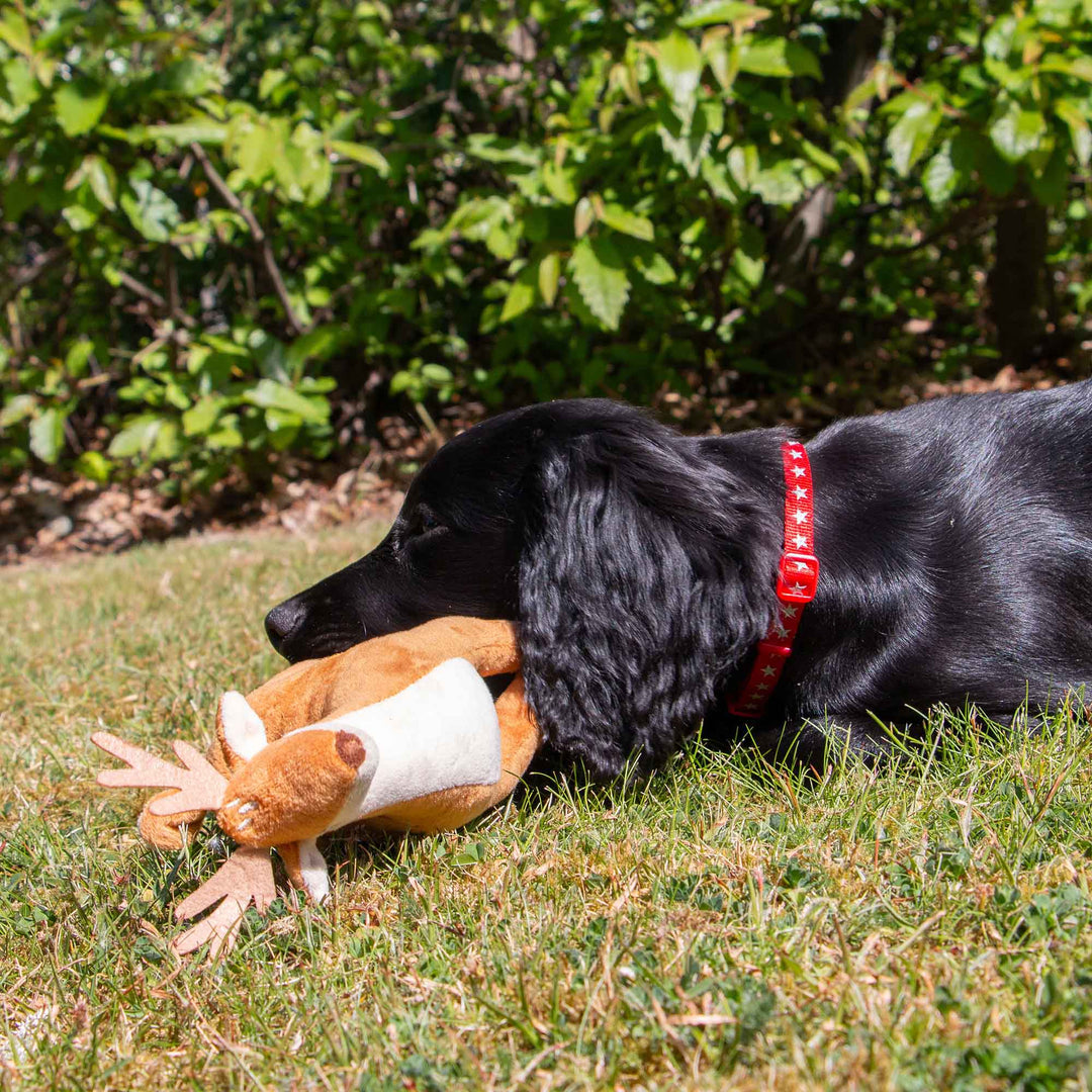 Ancol Small Bite Deer Dog Toy