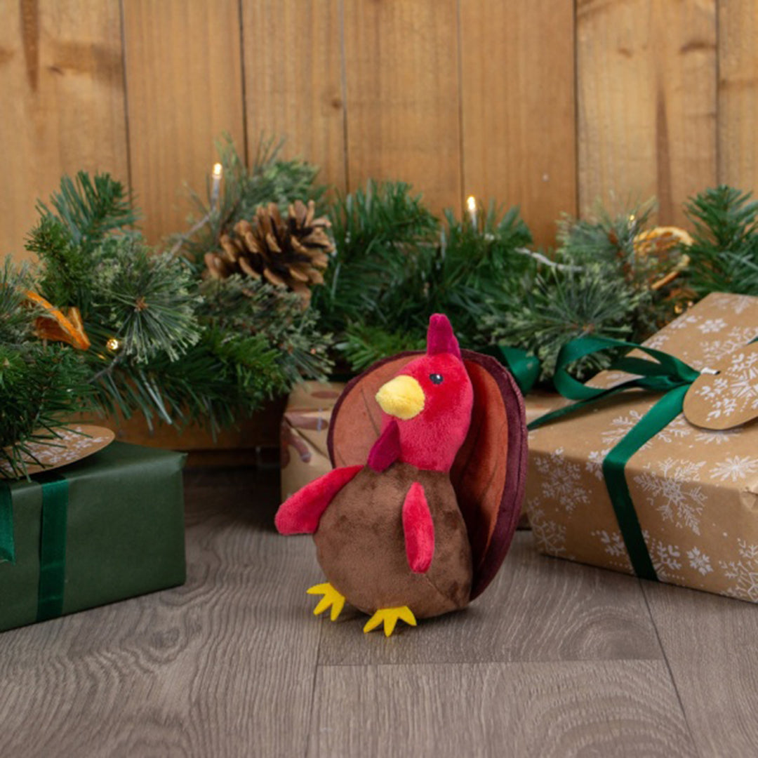 Ancol Mini Tina Turkey Dog Toy