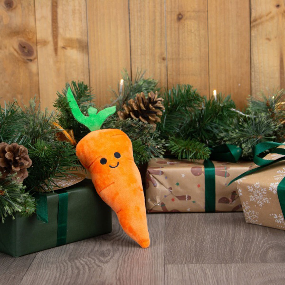 Ancol Mini Katie Carrot Dog Toy