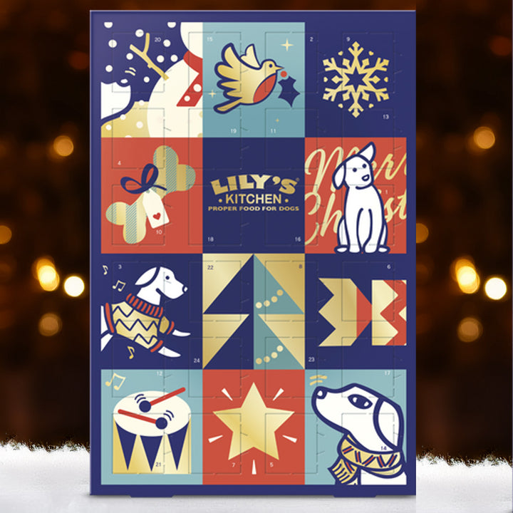 Lily's Kitchen Dog Christmas Advent Calendar