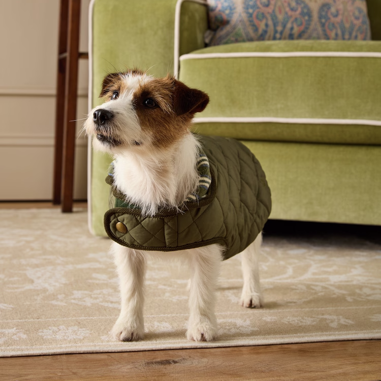 Joules Quilted Dog Coat