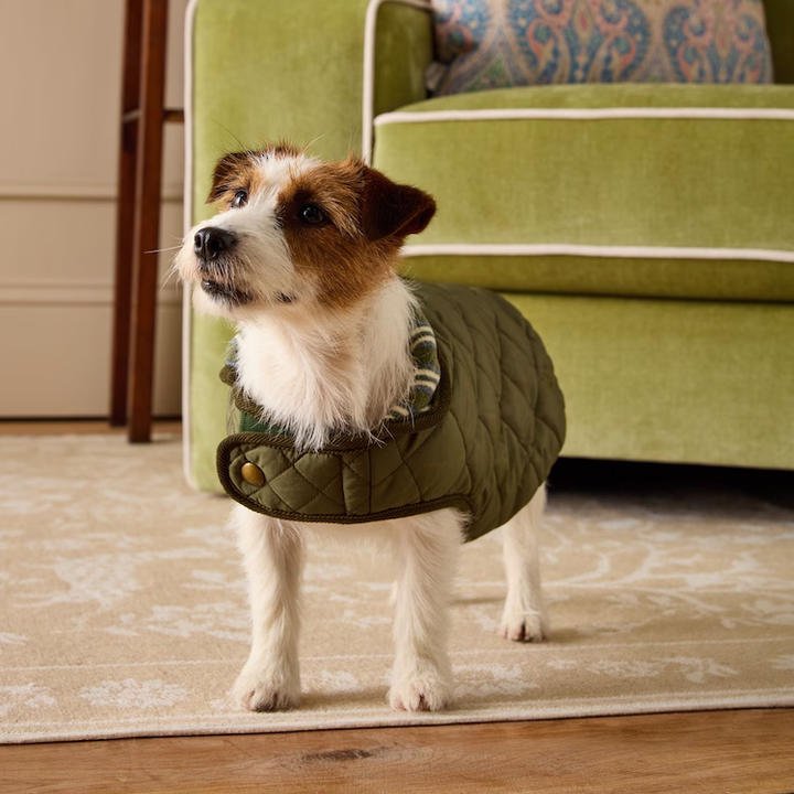 Joules Quilted Dog Coat