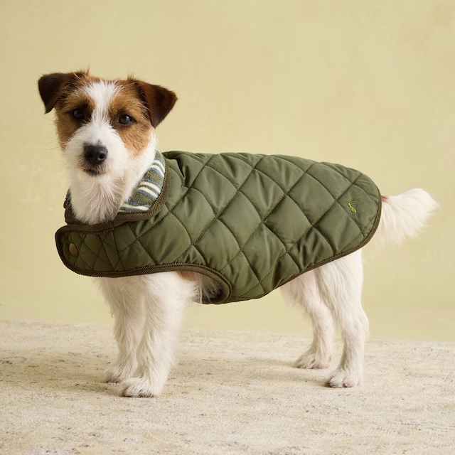 Joules Quilted Dog Coat