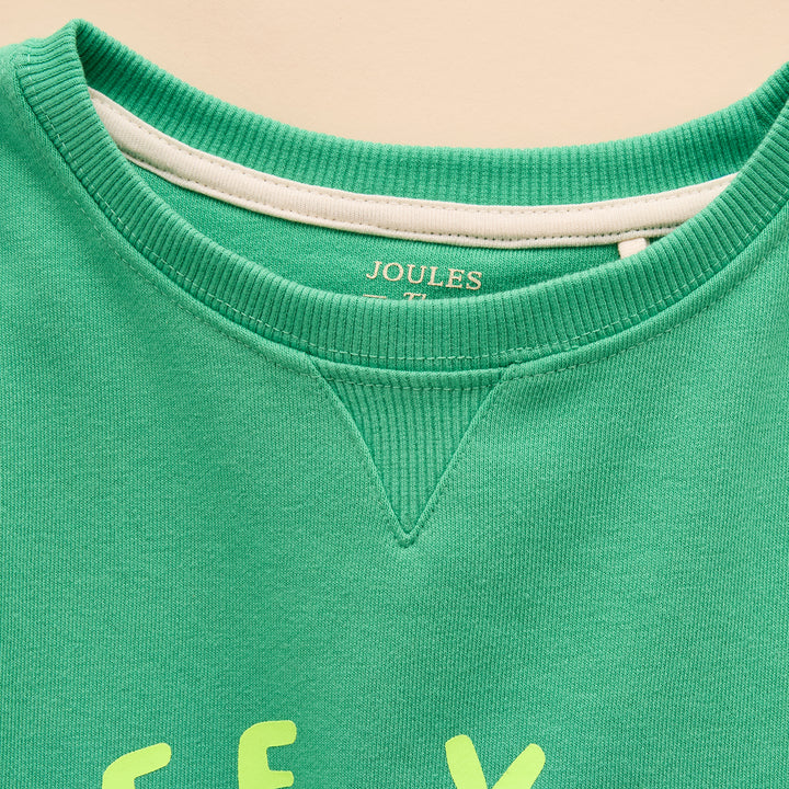 Joules Boys Sundaze Jumper