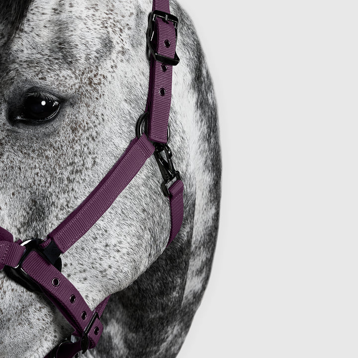 Aztec Diamond Panel Head Collar